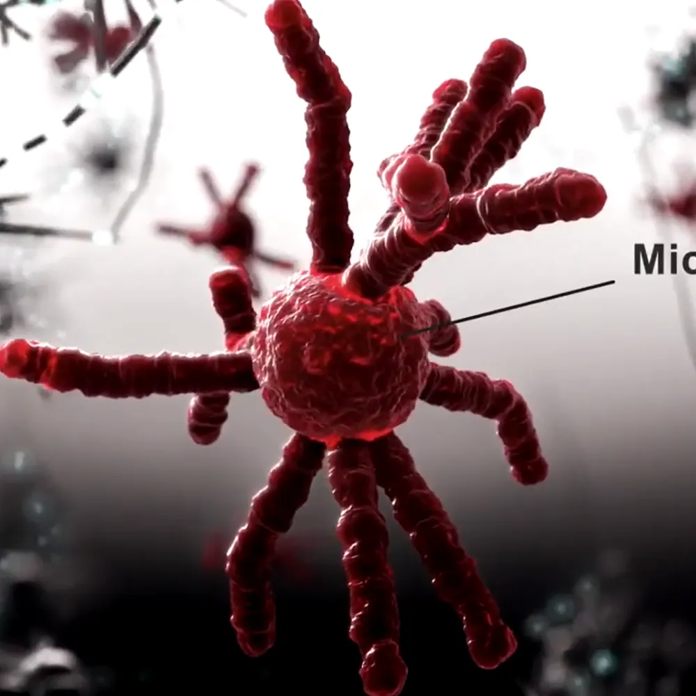 Microglia