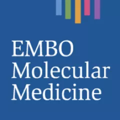 EMM